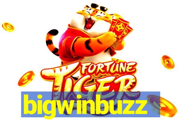 bigwinbuzz