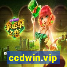 ccdwin.vip