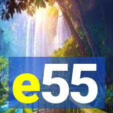 e55