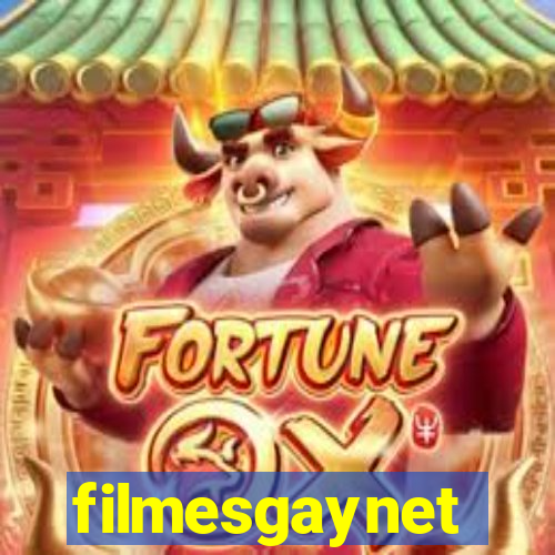 filmesgaynet