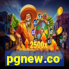 pgnew.co