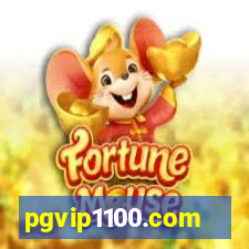 pgvip1100.com