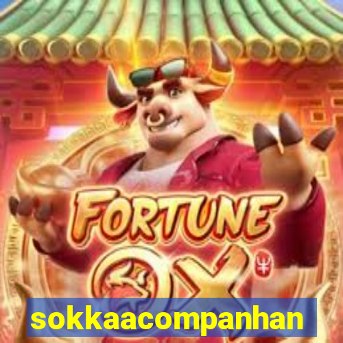 sokkaacompanhantes