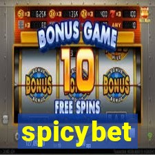 spicybet-1.com