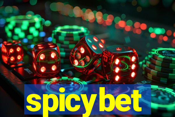 spicybet-2.com