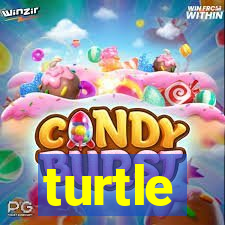 turtle-ty.com